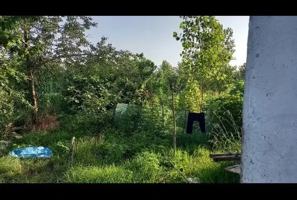 زمین ۹۰۰متری لیالستان مسکونی تک برگ