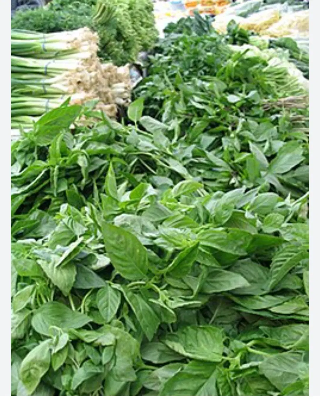 اجاره سبزی فروشی