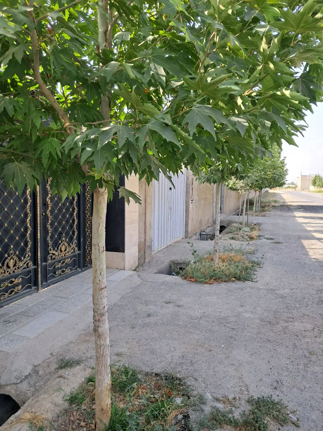 باغ ویلا۴۳۵متر کیانمهر رامجین عرب آباد خسروی