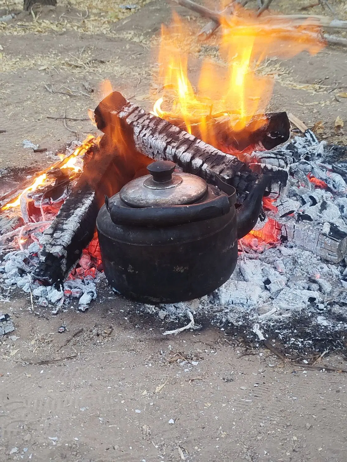 زمین و خانه ییلاقی در تالش گیلان