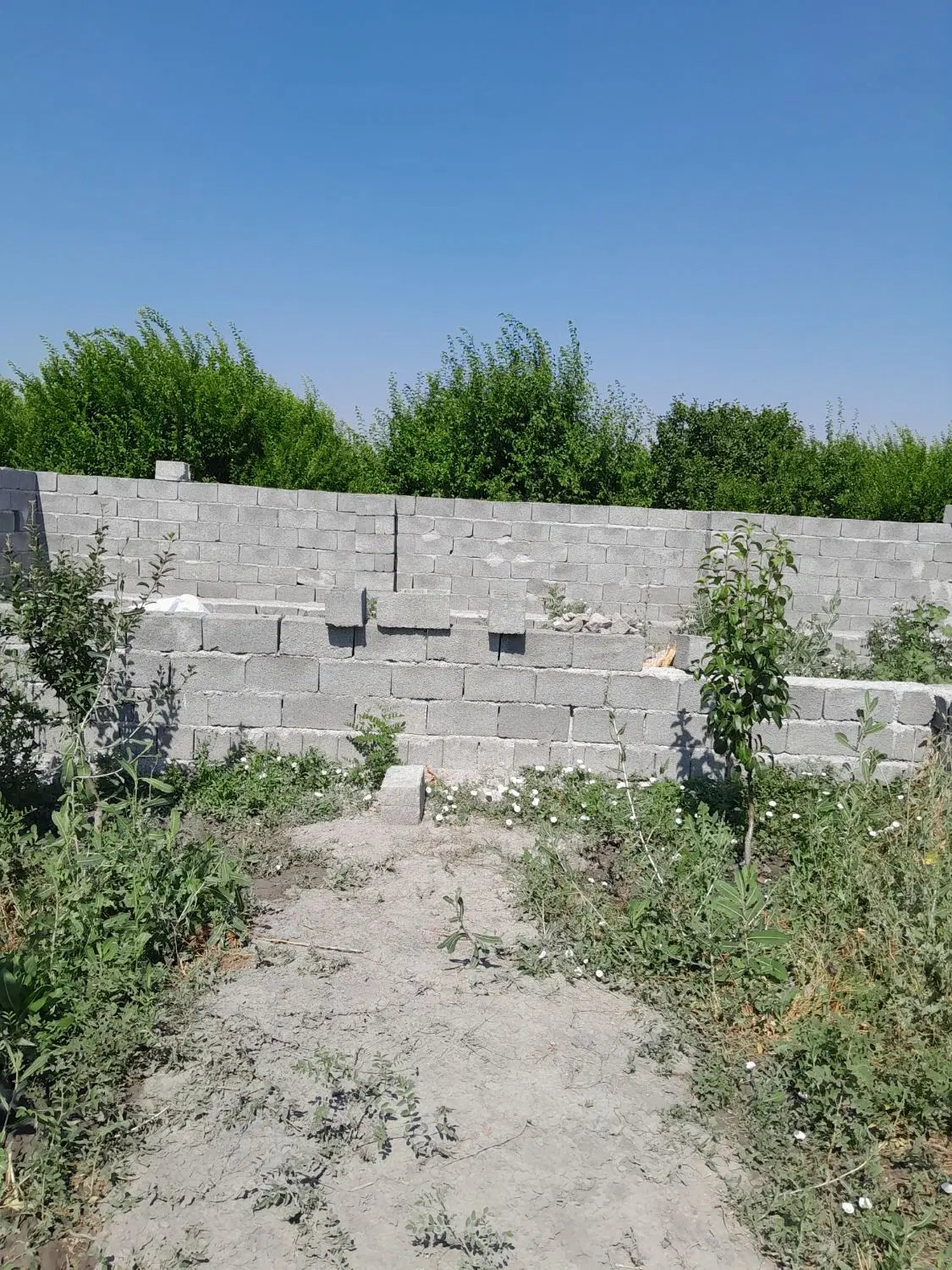 باغچه