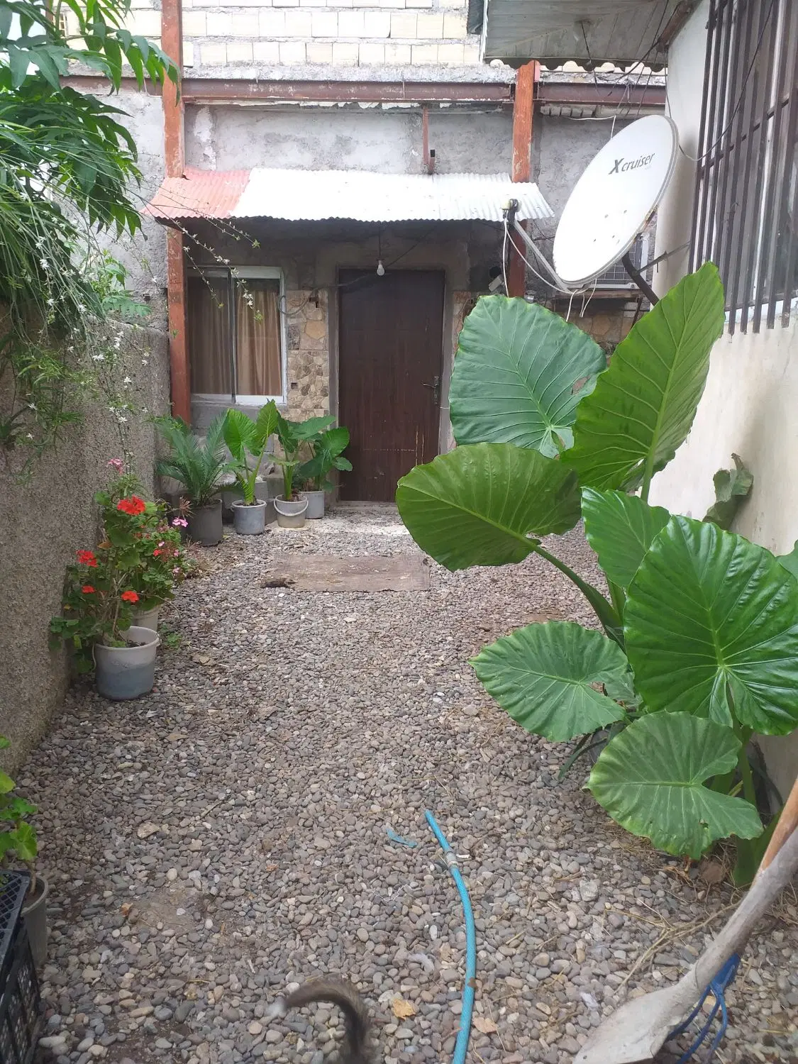 اجاره ویلا مبله روزانه ،سالانه
