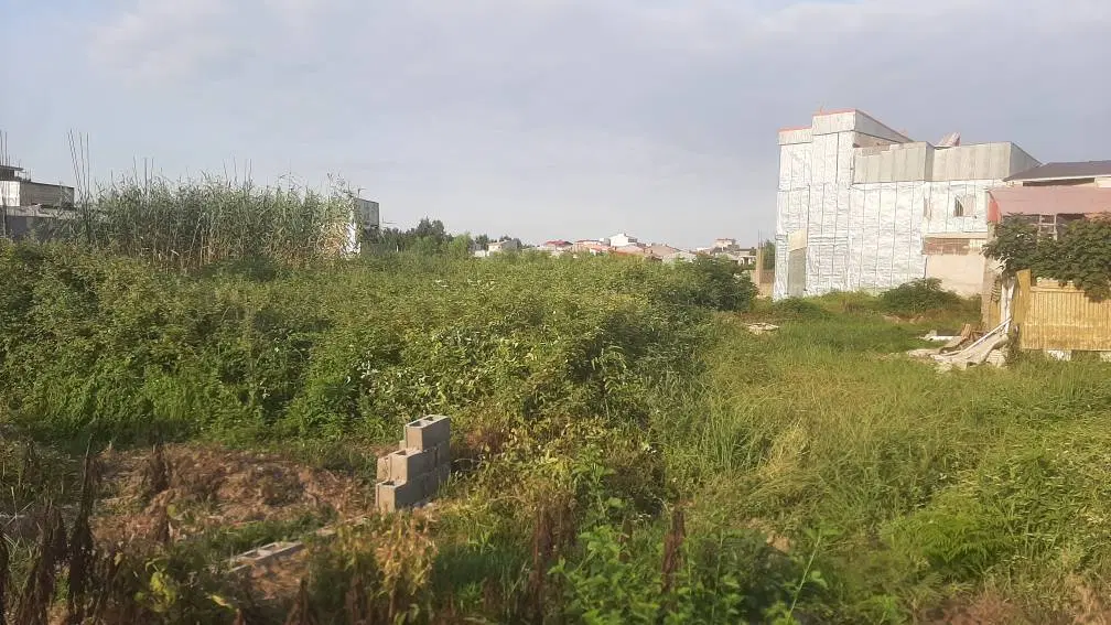 قطعه زمین ۵۵ متری کوچه دلسوزی