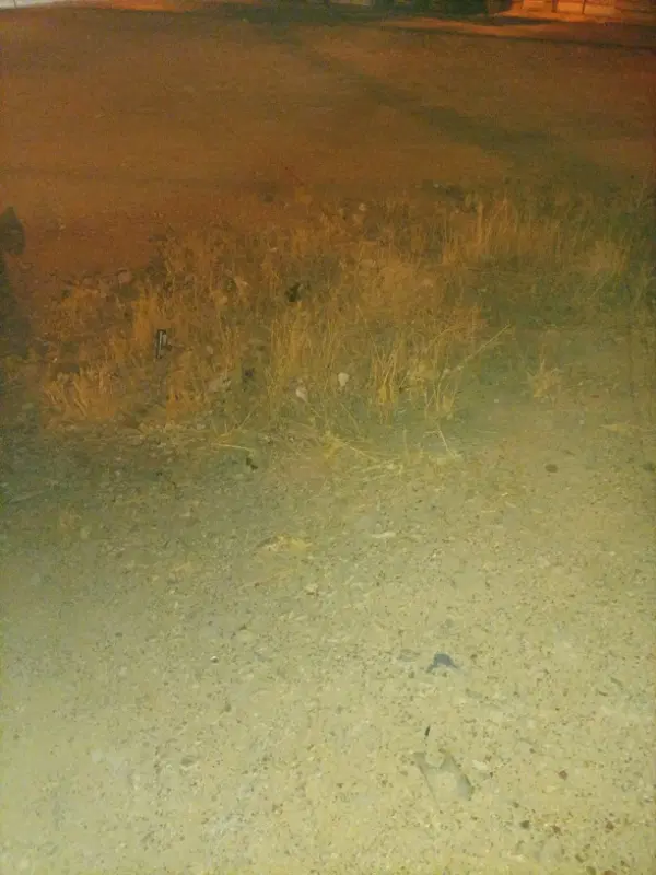 زمین۴۴۰متر جاده صدرا ملکی مسکونی