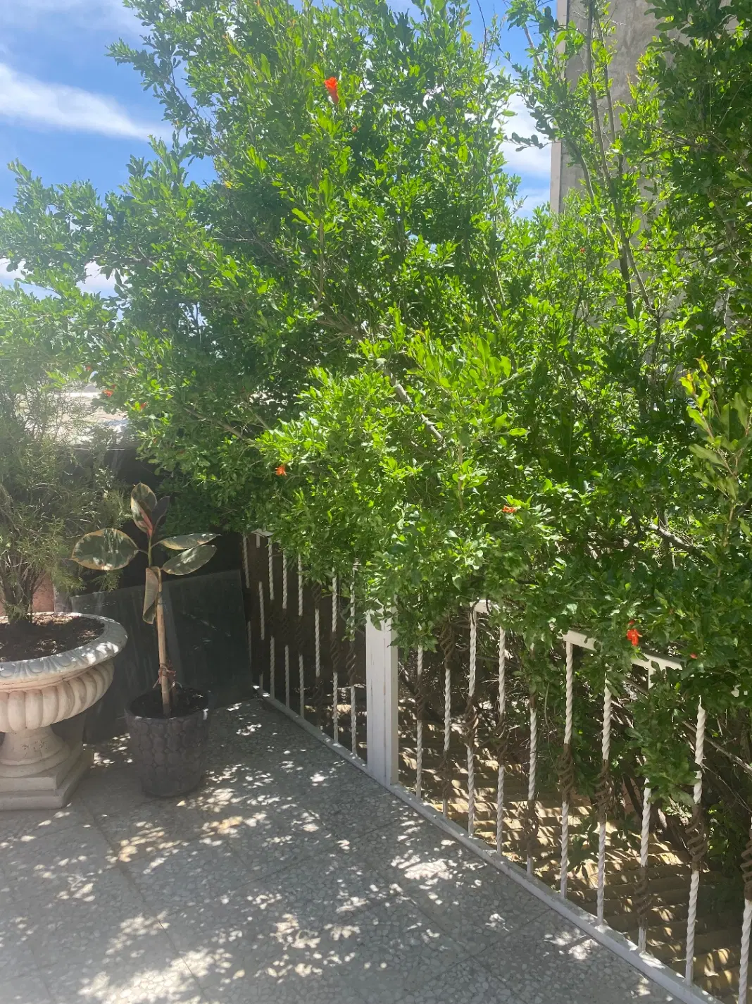 مسکونی ویلایی