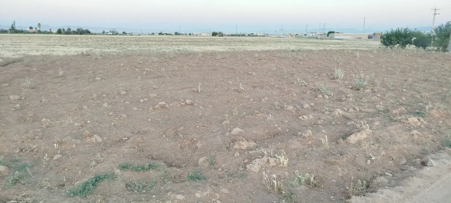 زمین کشاورزی و باغی