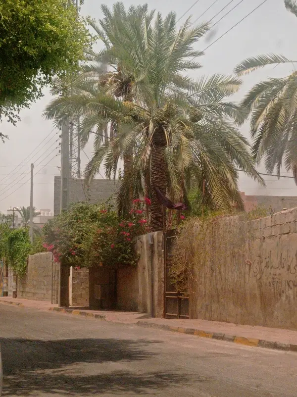 تجاری مسکونی بهرباغ
