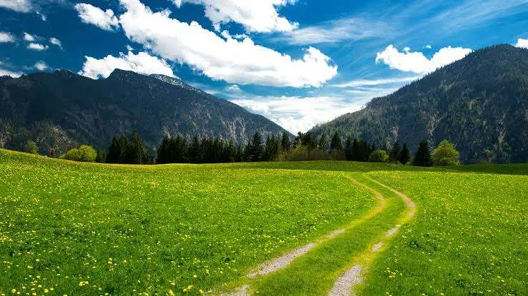 فروش زمین ۴۰۰۰ متری شاهپور جدیدمناسب سوله و کارگاه