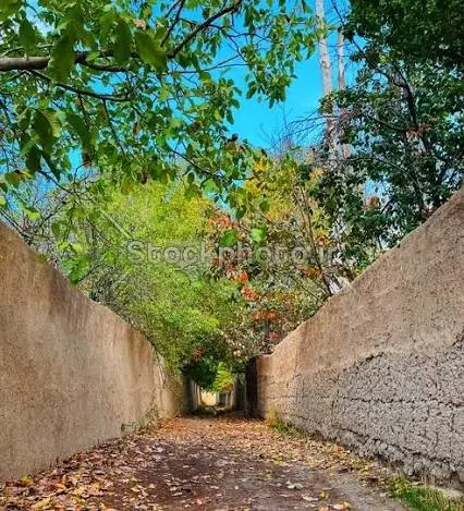 فروش باغ چه