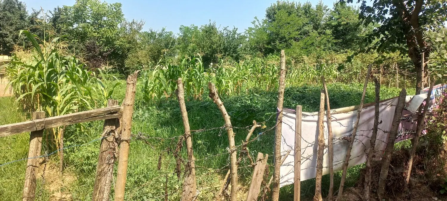 فروش زمین