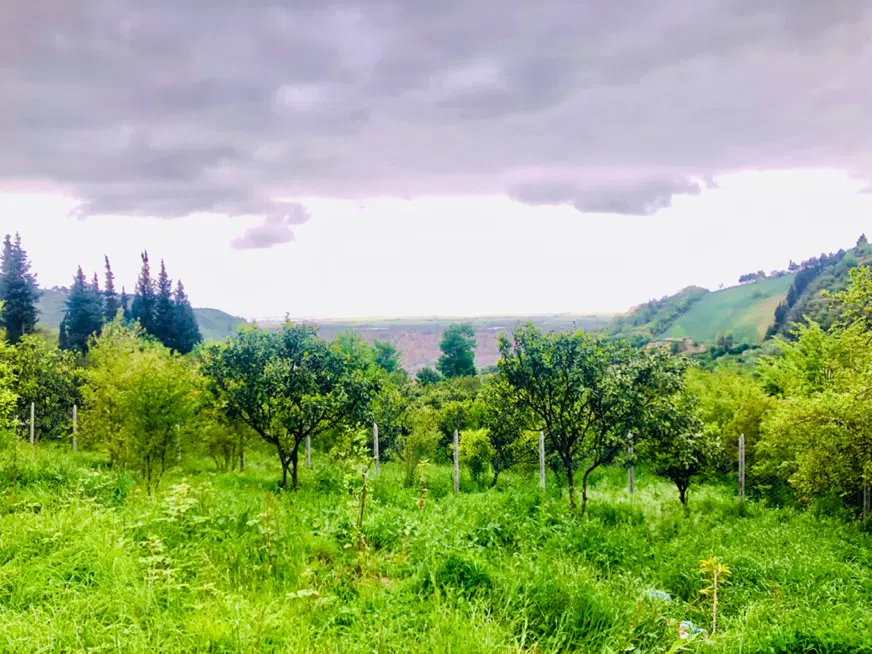 زمین باغی و ویلایی