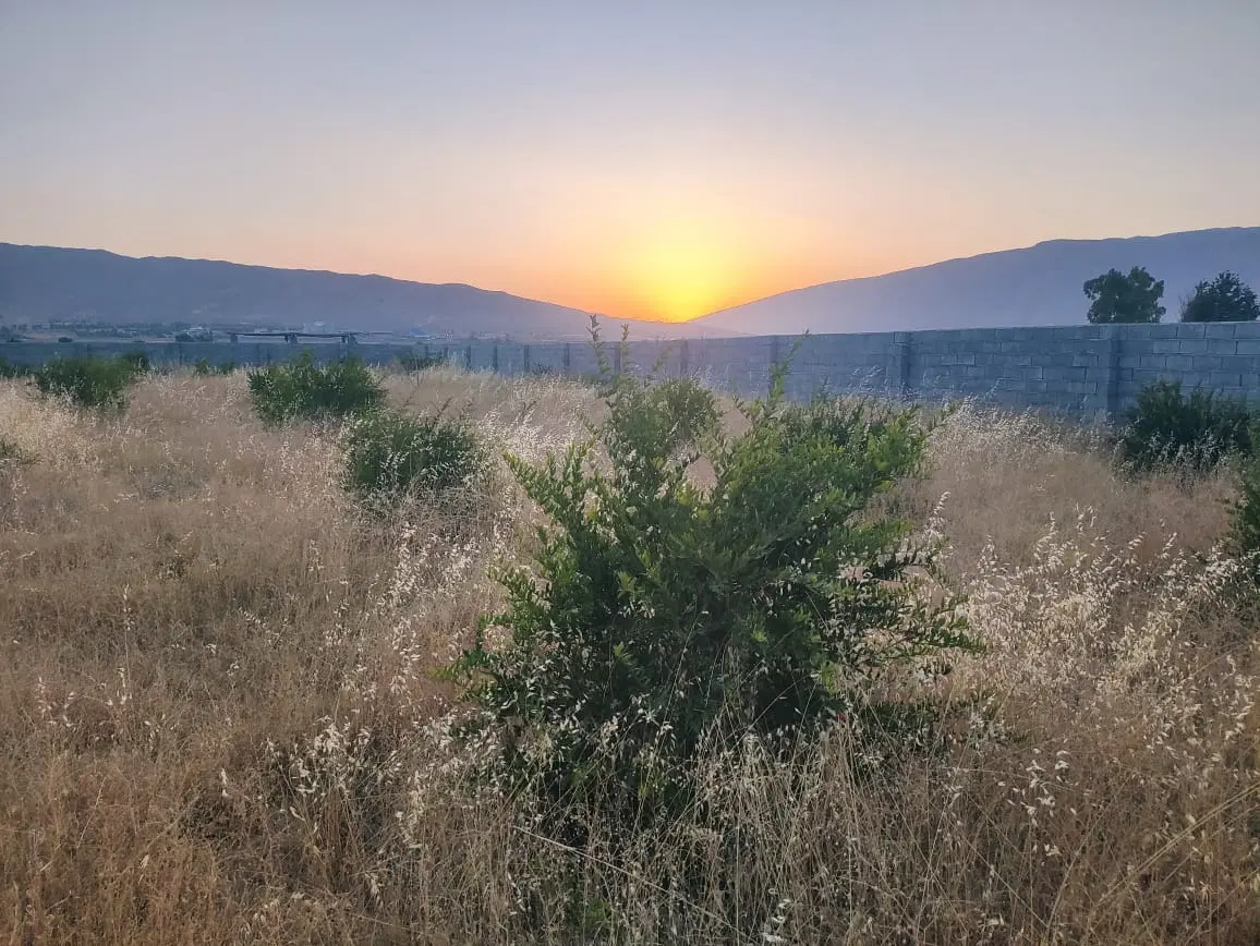 زمین باغ شهرستان - تنگ کرم