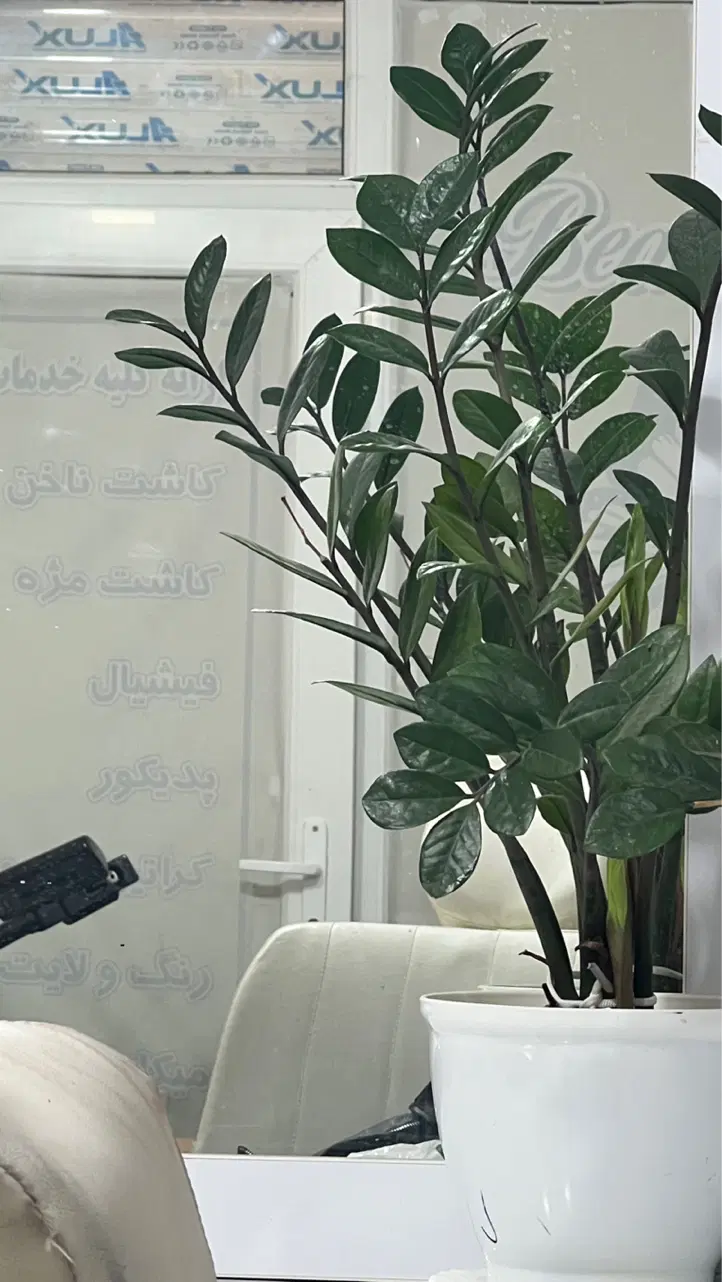 واگذاری سالن آرایشی با وسایل