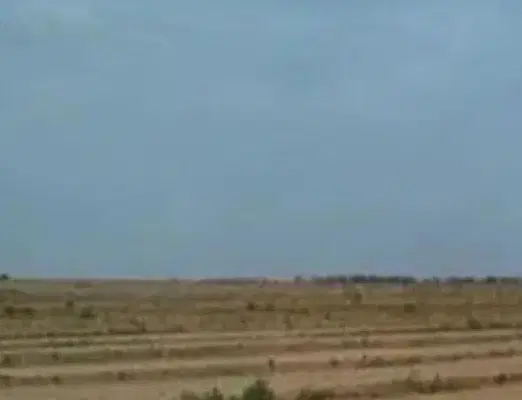 زمین قبرستان سرخ دم