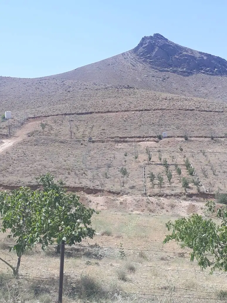 ۳۷۴متر زمین دماوند