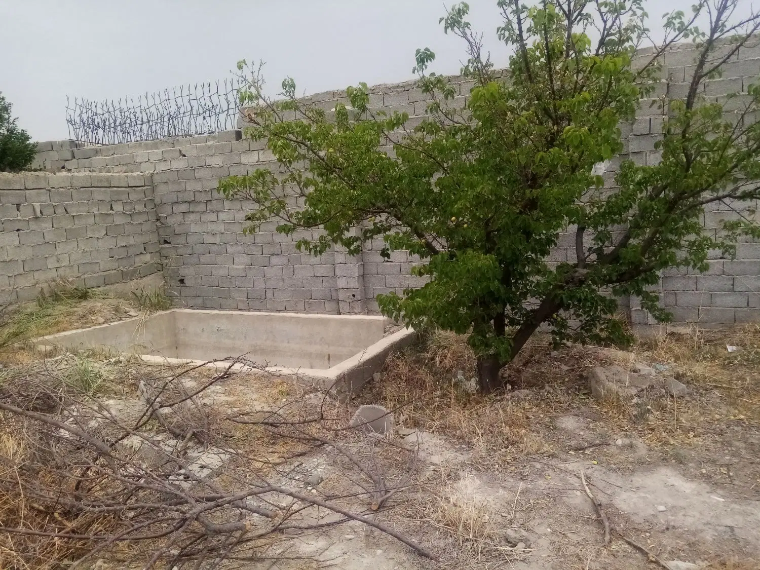 500متر زمین باغی 4دیوار قپچاق