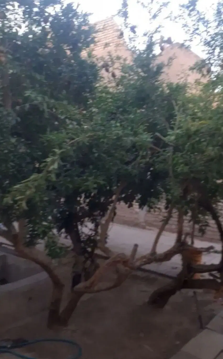 خانه کلنگی