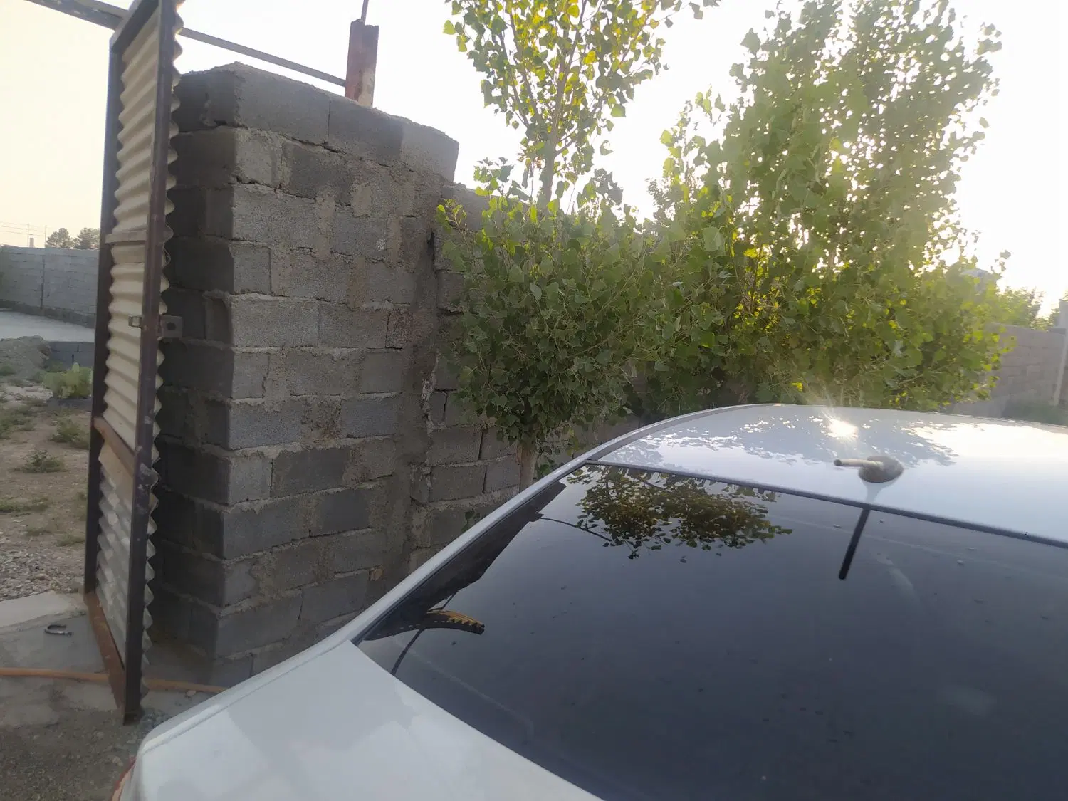 باغ وباغچه