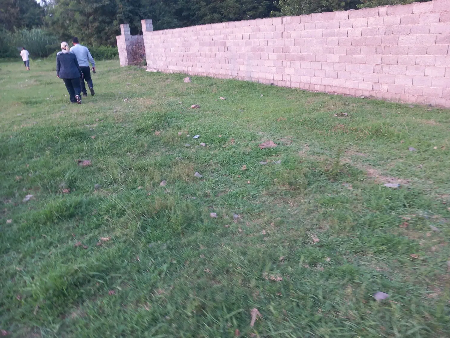 ۲۵۰مترزمین باغی داخل طرهادی