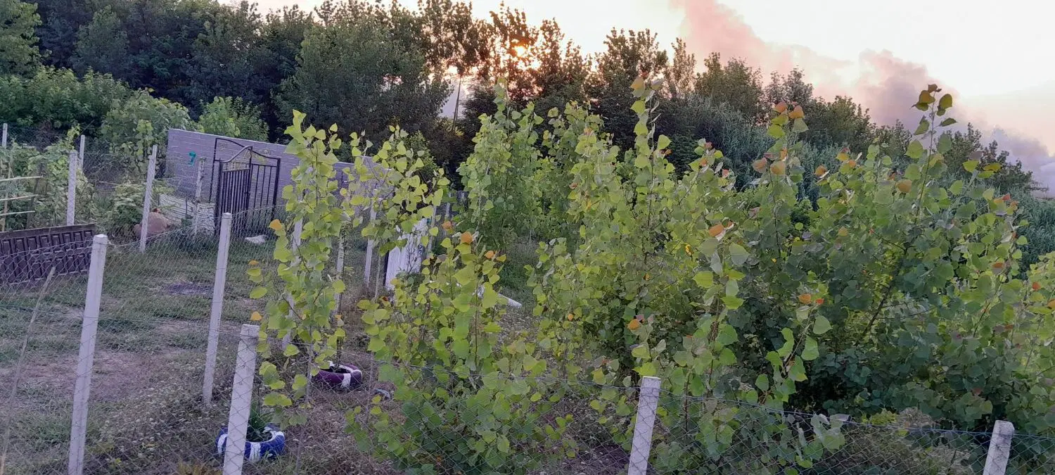 فروش زمین ۷۷۵متر