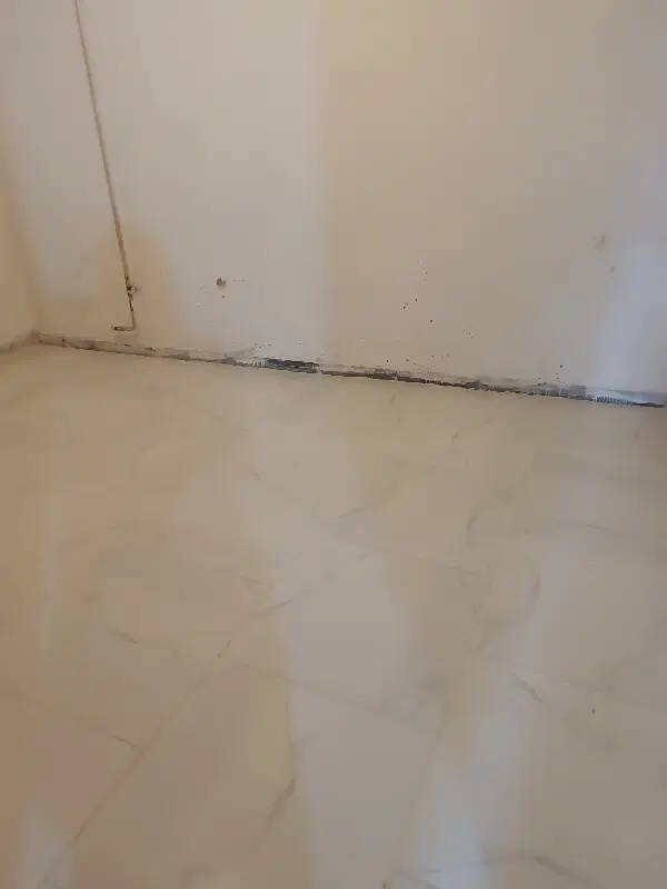 خانه اجاره‌ای مستقل