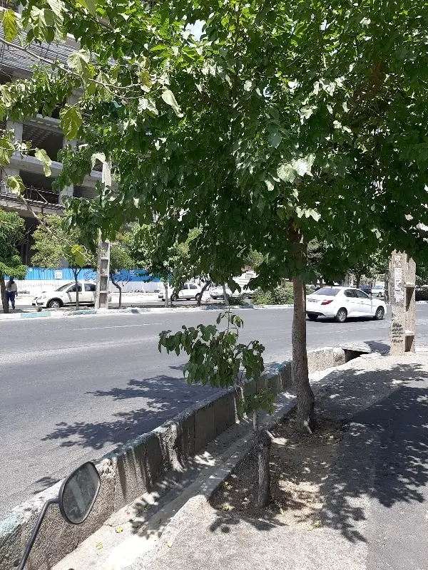 ۴۰ متر تجاری