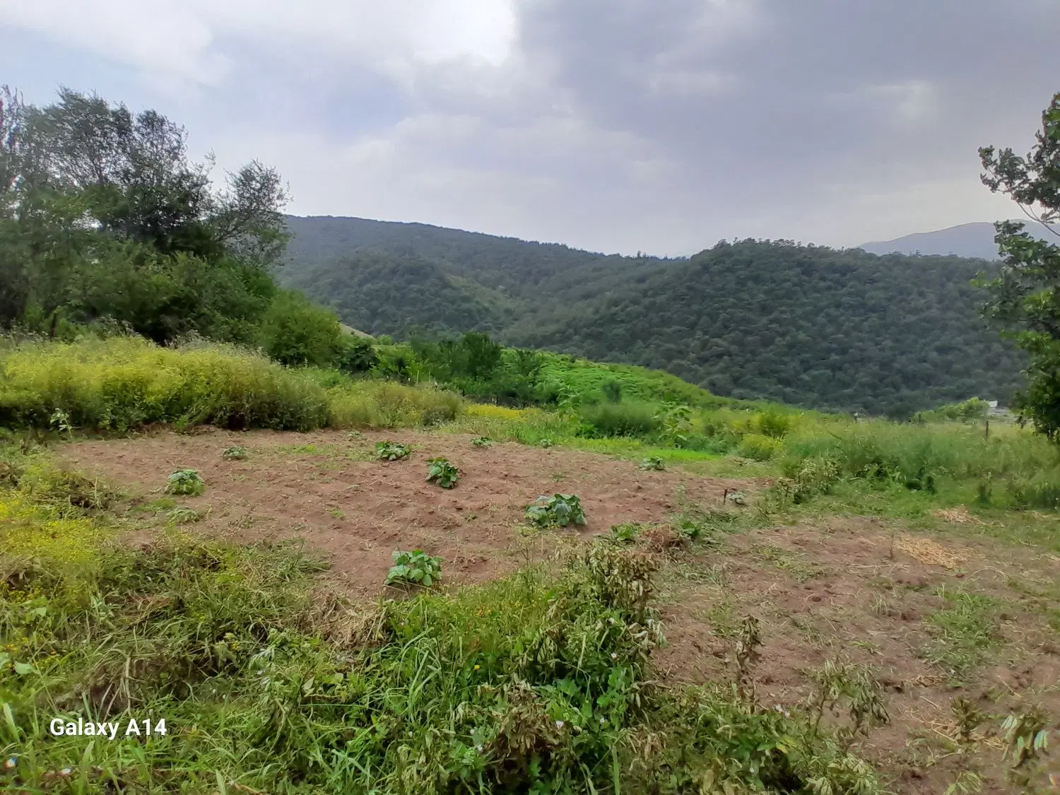 زمین  ۳۰۰ متری