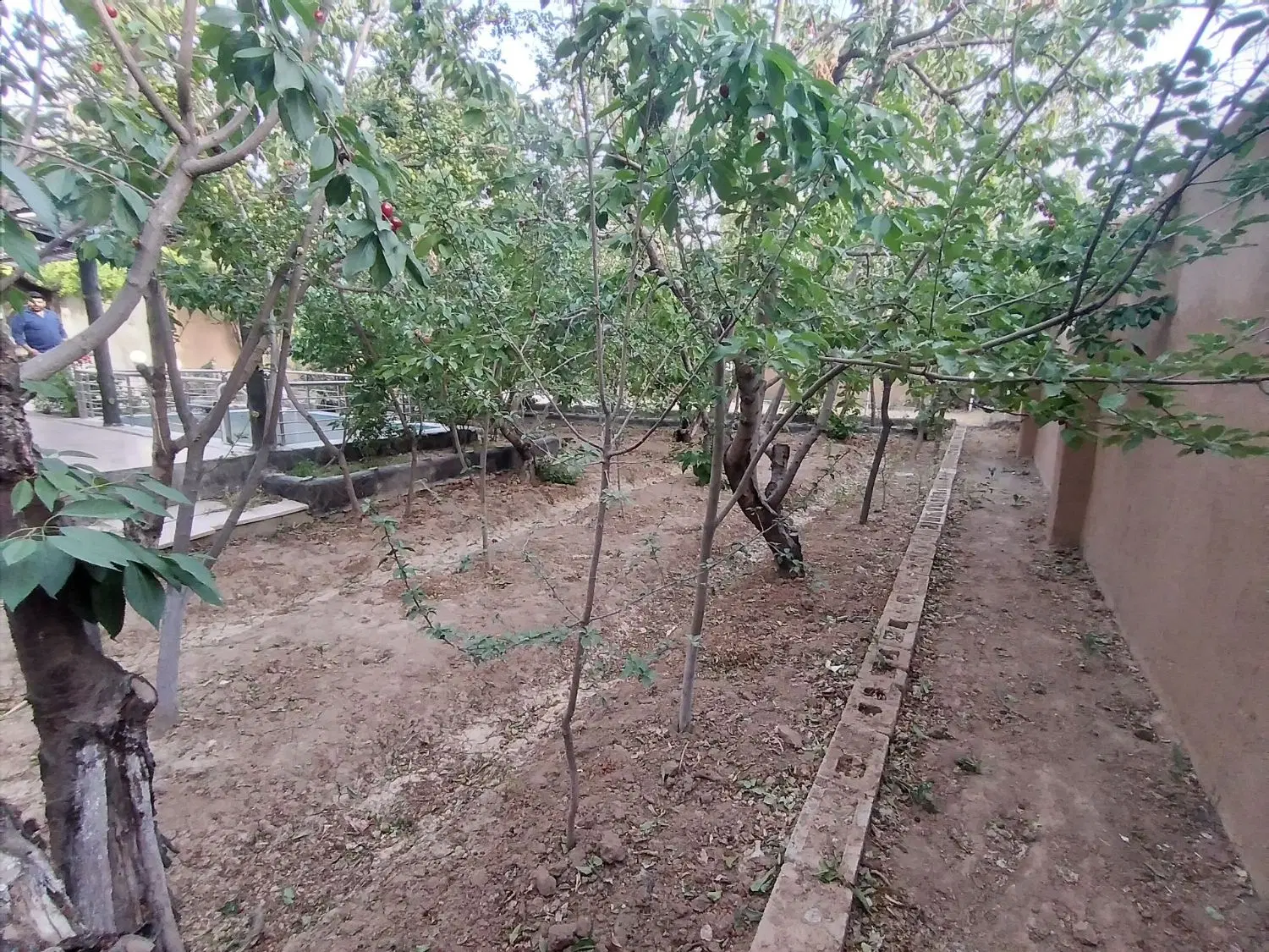 زمین شمالی گلشهر