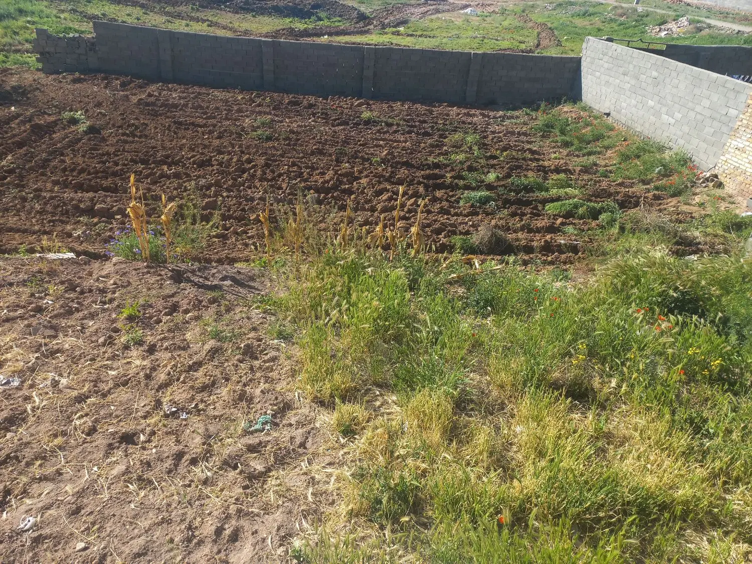بستان کارشراکتی اب وزمین ازمن کشت ازشما