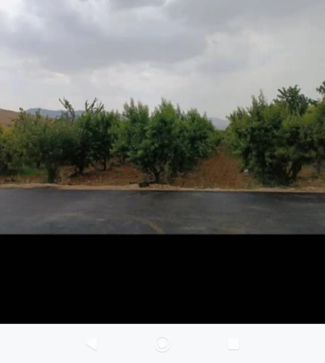 باغ دالین
