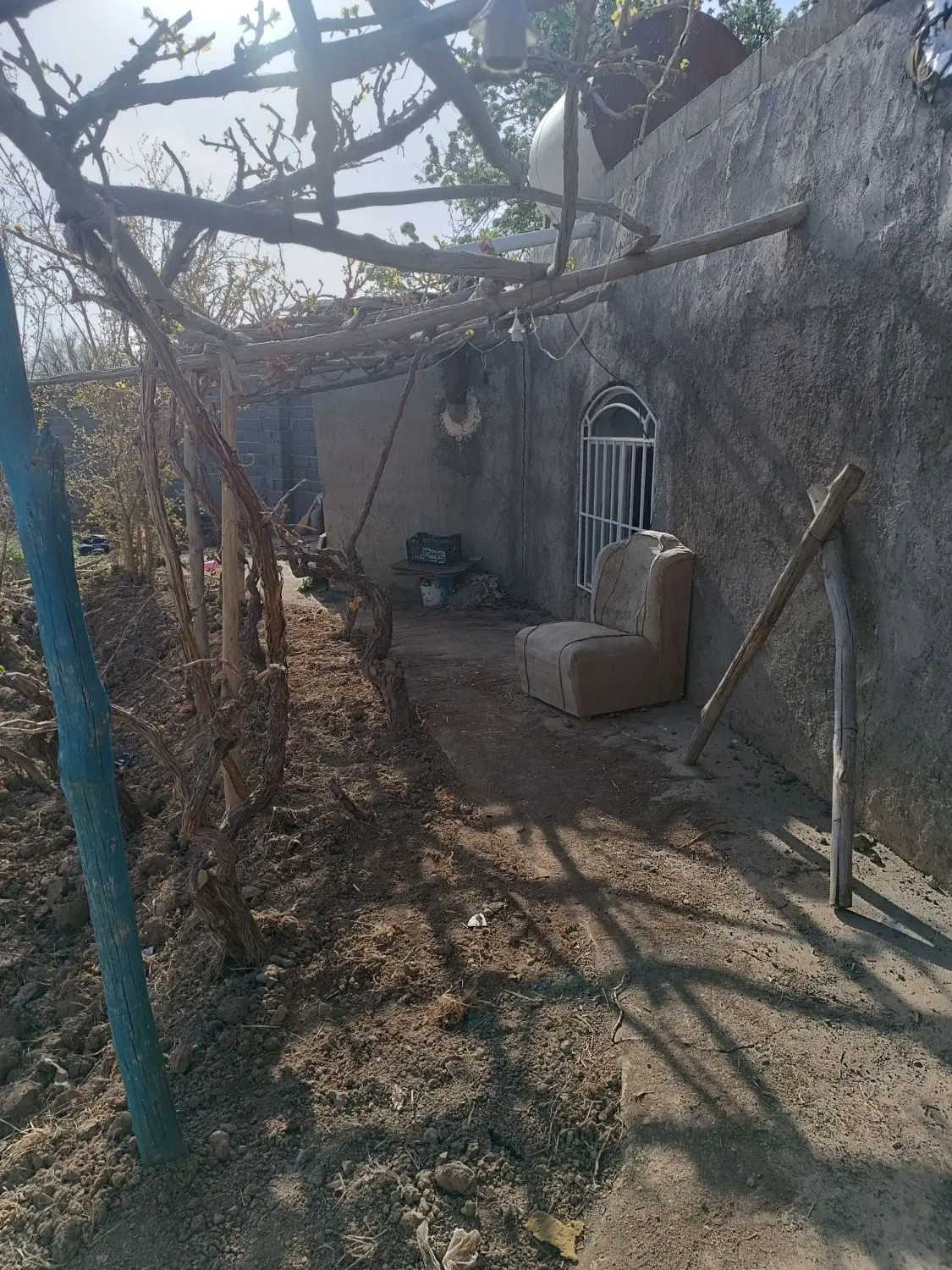 باغ نزدیک شهر