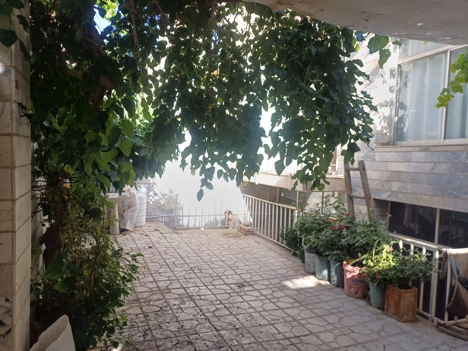 ویلایی رهن و اجاره