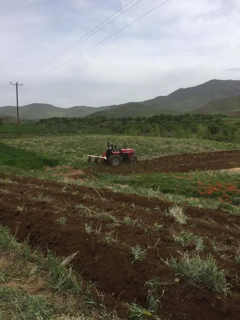 ۷ قطعه زمین ۳۰۰ متری برای کلبه سوئیسی (چوبک)