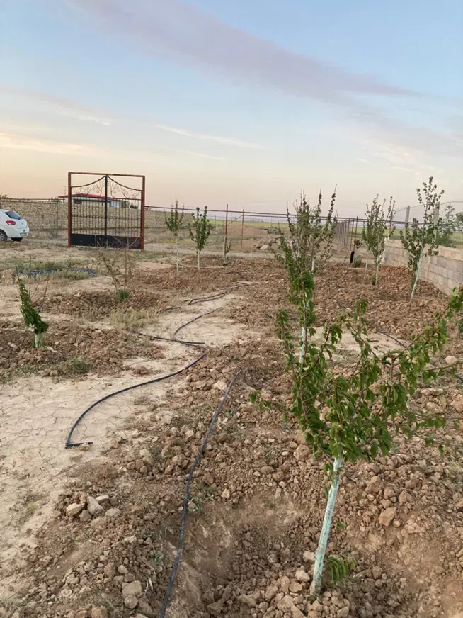زمین باغی