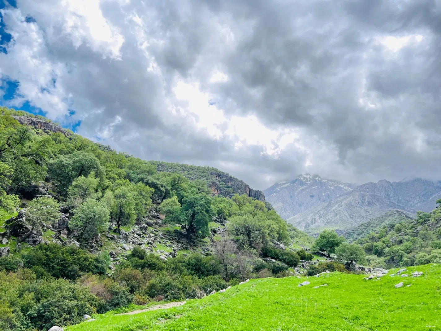 زمین فروش تجاری مسکونی