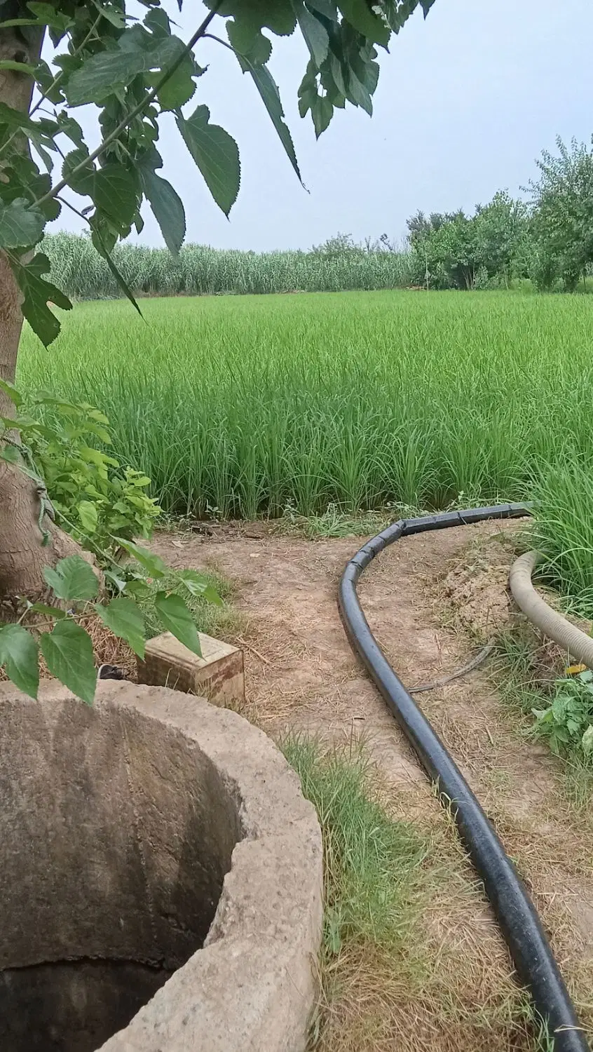 نیم هکتار کشاورزی آبی با سند و پروانه‌چاه.