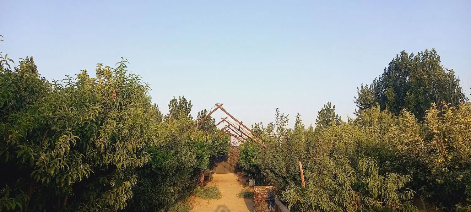 باغ ۱۰۰۰متری میوه
