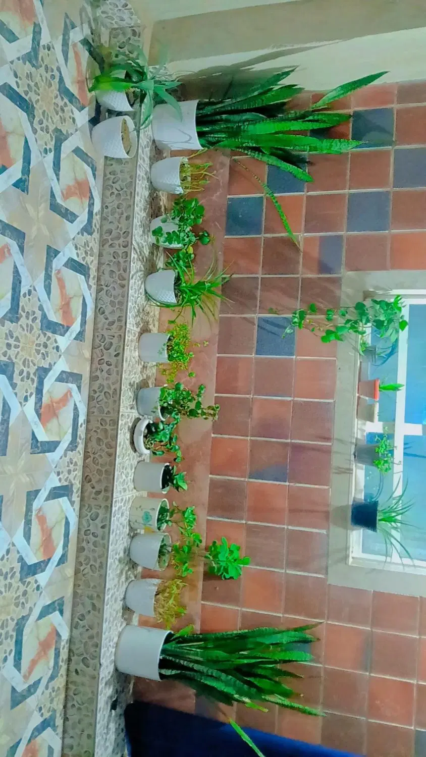 فروش منزل مسکونی ویلایی(کلنگی)