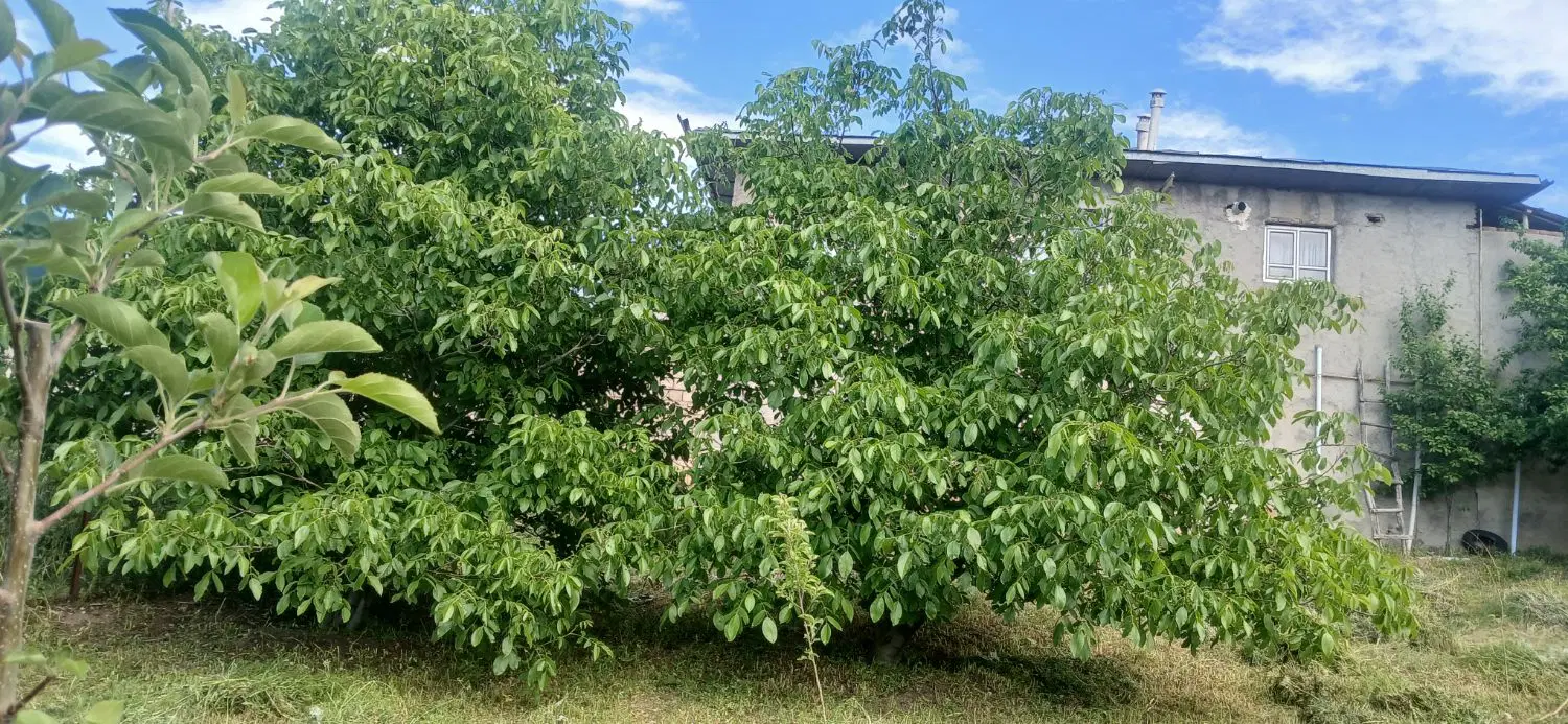 فروش خانه ویلایی