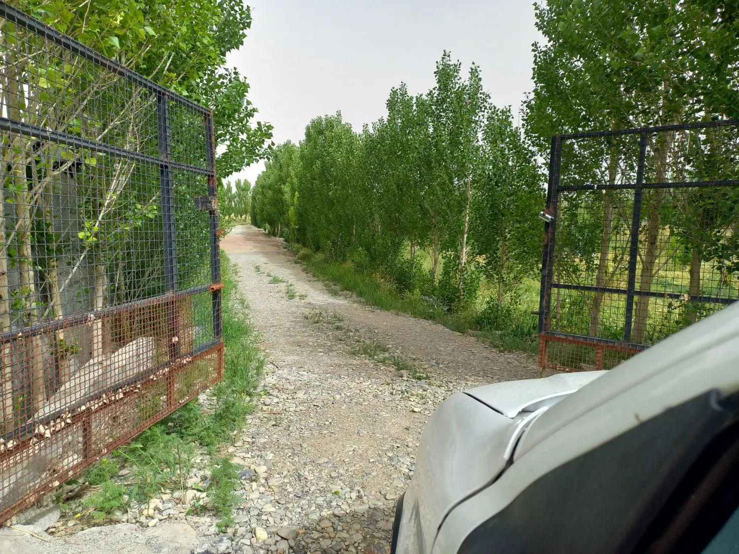 ۵۰۰ متر زمین باغی در مجموعه ای  شهرکی
