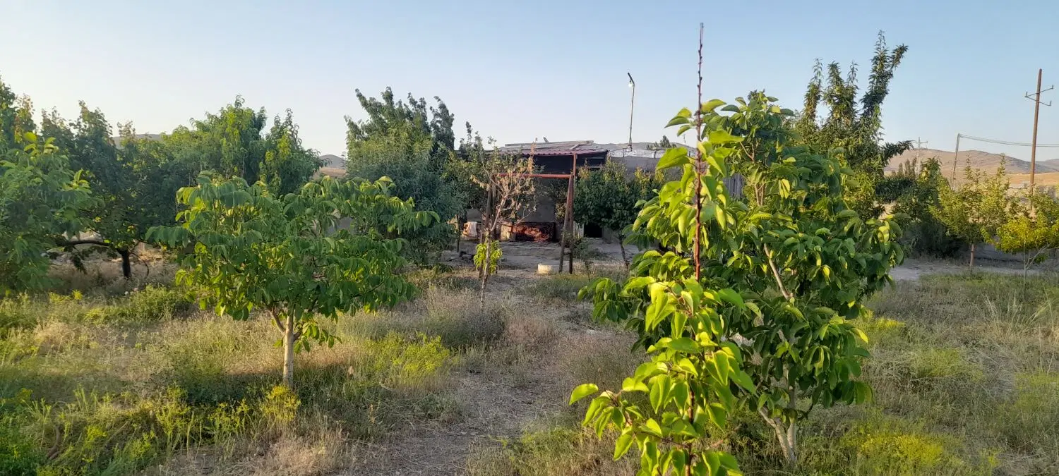 تایید نهایی