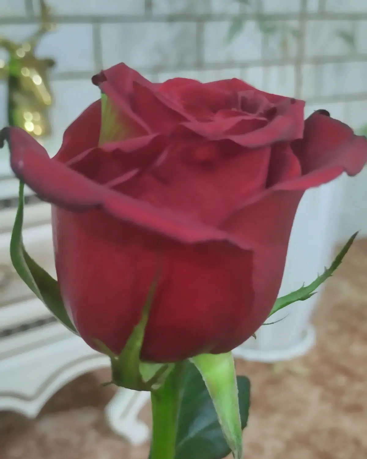 باغ