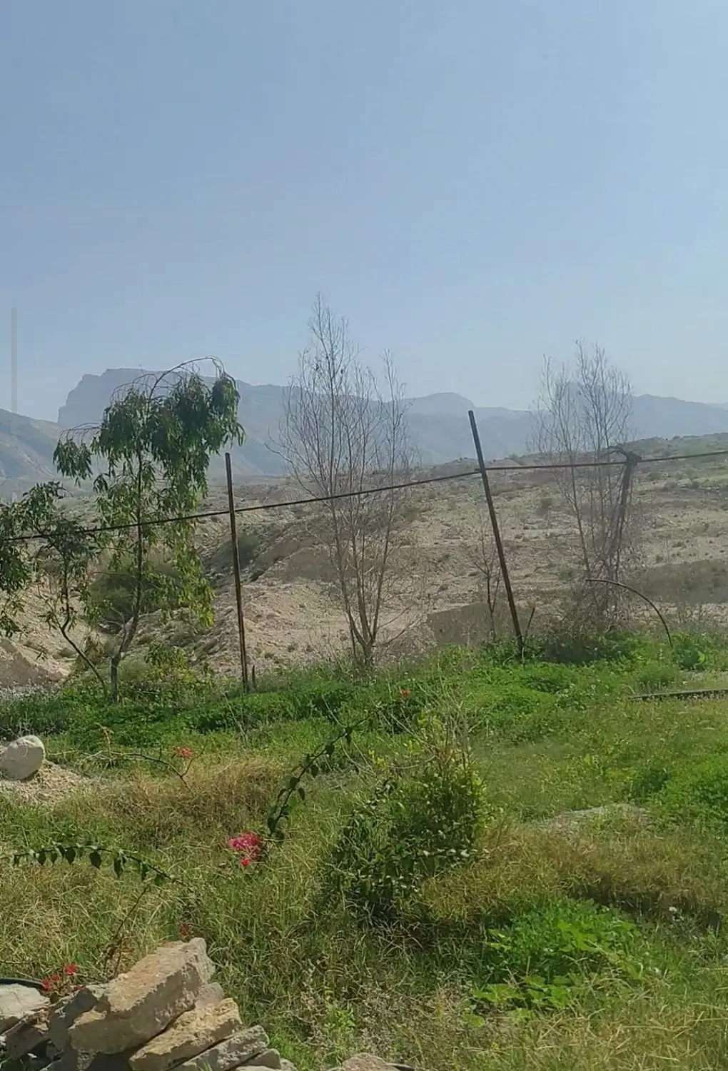 فروش زمین باغی هزار متر کنار جاده اتوبان