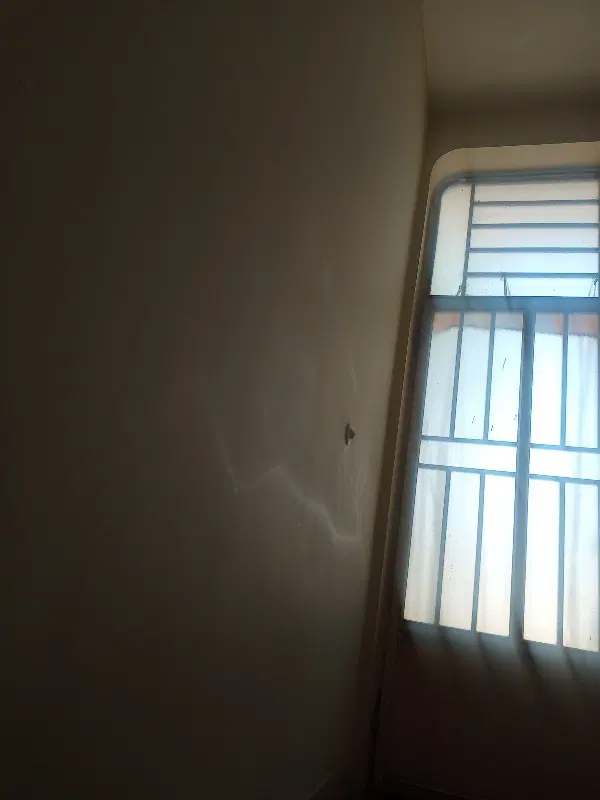 همخونه