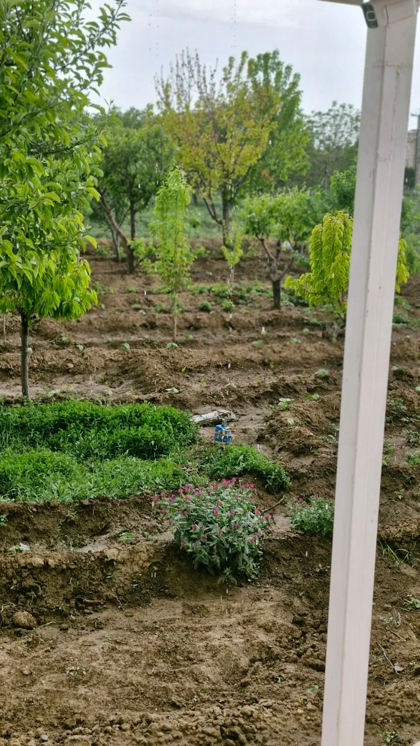 زمین محصور،سند تک برگ،بحر جاده کرمانشاه