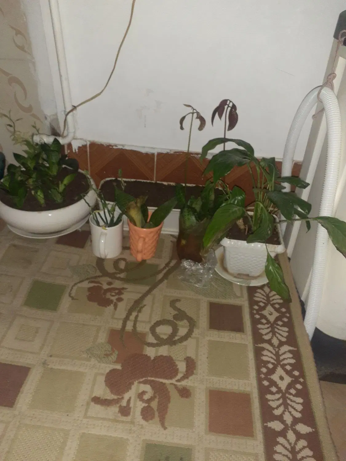 اجاره خونه دربست مریانج نزدیک کمربندی