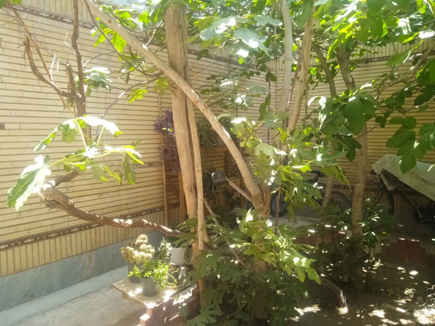 اجاره آپارتمان دو خوابه