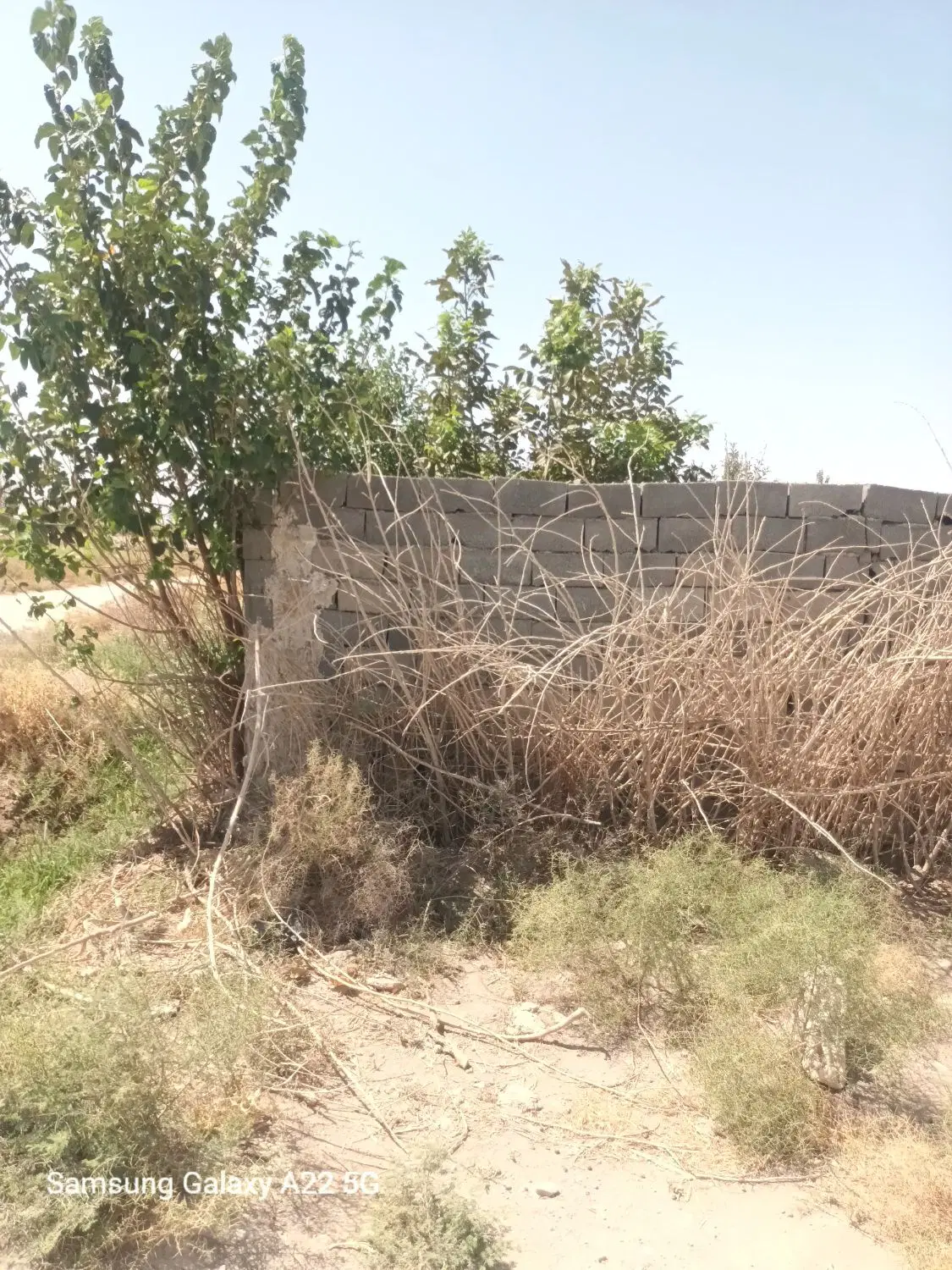 باغچه ۹۰۰ متر  شترخار
