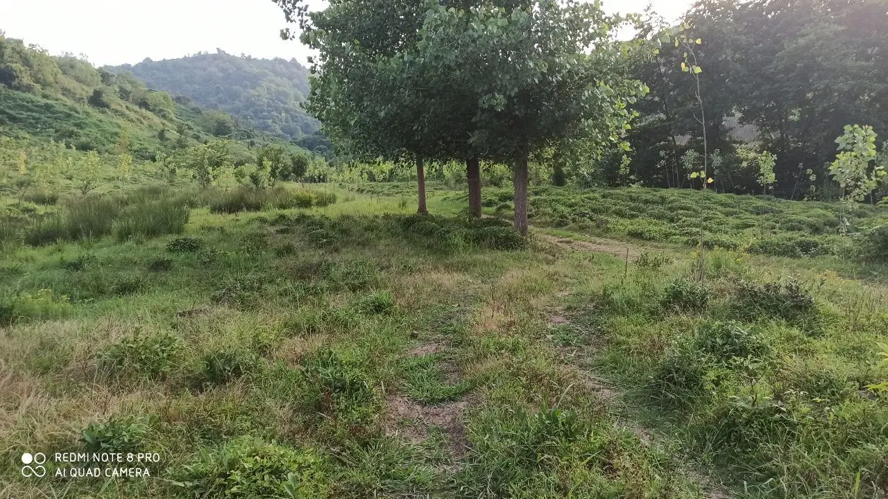 ویلا