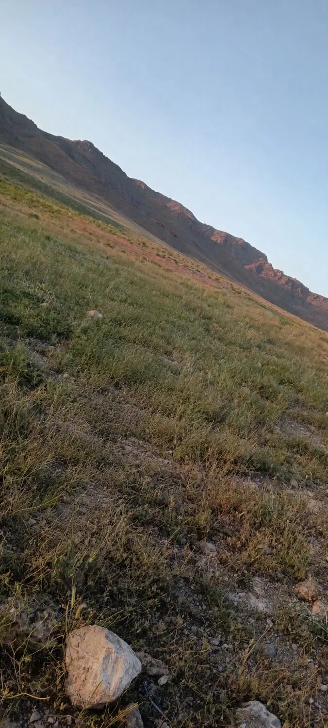زمین کلنگی
